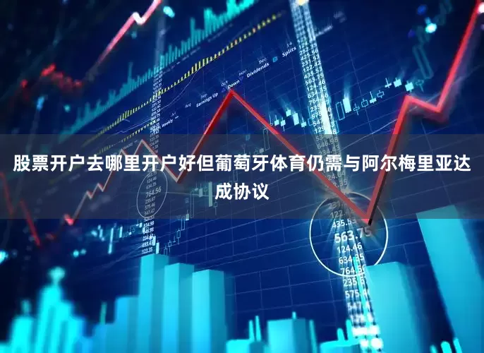 股票开户去哪里开户好但葡萄牙体育仍需与阿尔梅里亚达成协议