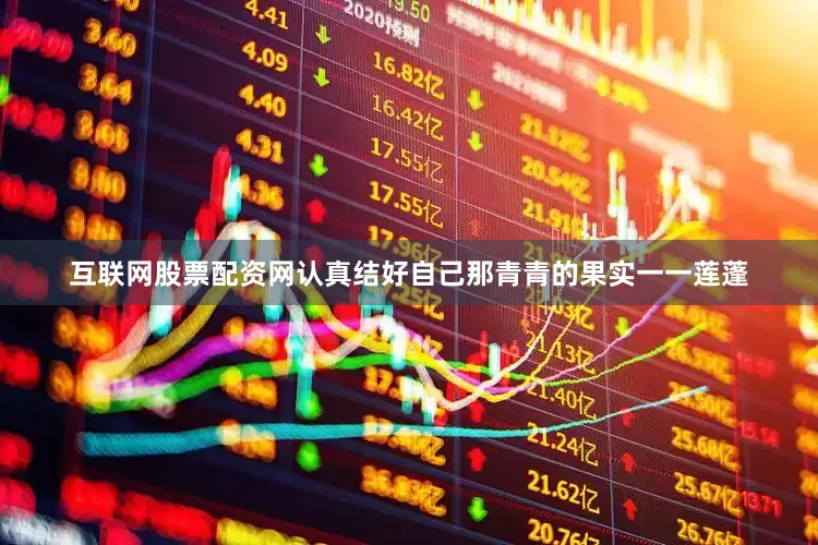 互联网股票配资网认真结好自己那青青的果实一一莲蓬