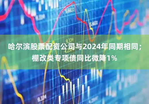 哈尔滨股票配资公司与2024年同期相同；棚改类专项债同比微降1%