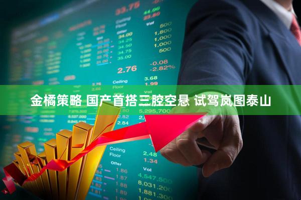 金橘策略 国产首搭三腔空悬 试驾岚图泰山