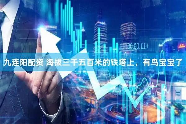 九连阳配资 海拔三千五百米的铁塔上，有鸟宝宝了
