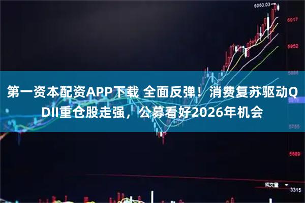 第一资本配资APP下载 全面反弹！消费复苏驱动QDII重仓股走强，公募看好2026年机会
